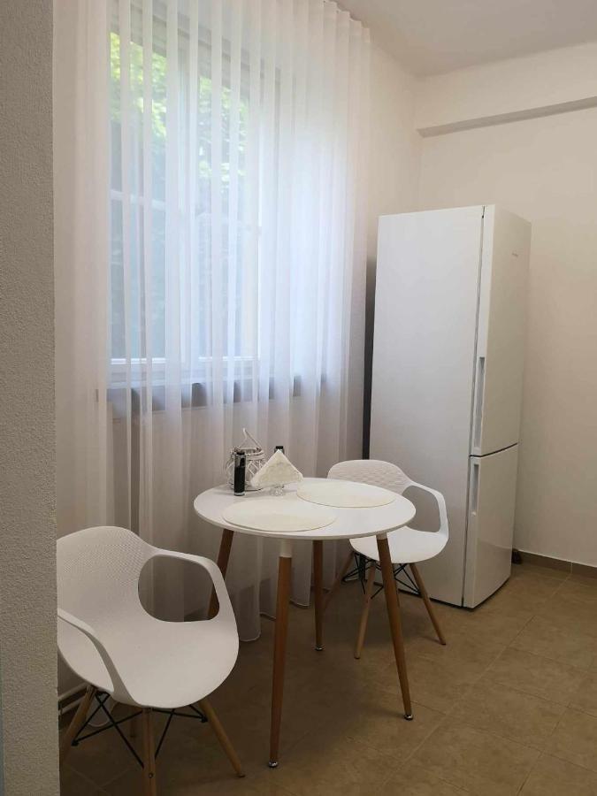 Apartman Dlouha 207 Litoměřice Kültér fotó